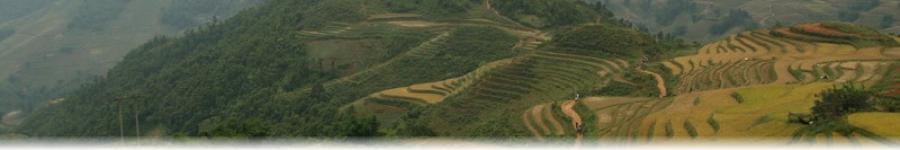 Wim's blog